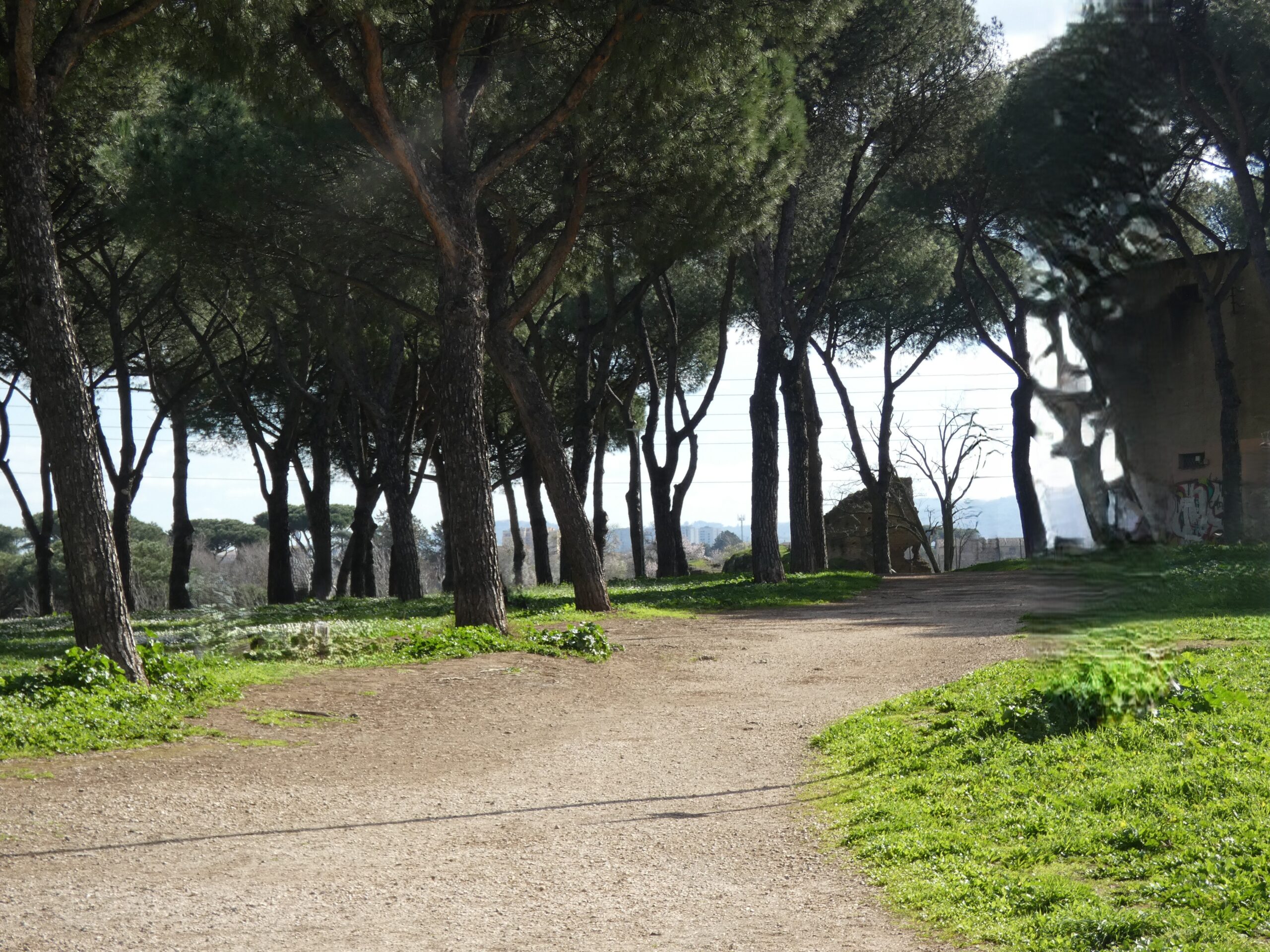 Parco di Tor Tre Teste - Giovanni Palatuccci